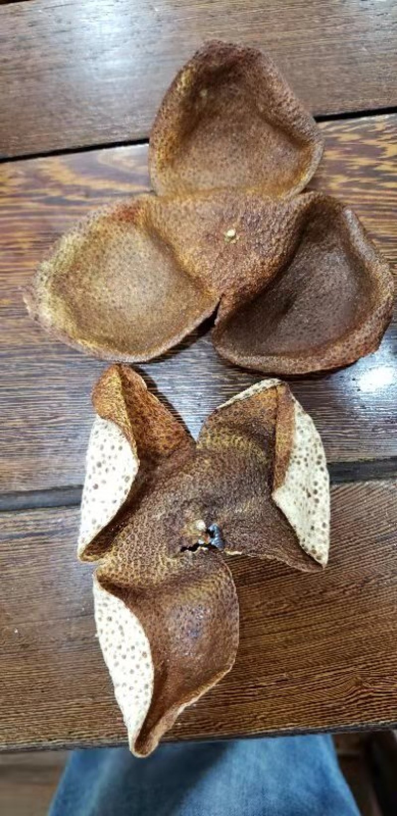 包邮陈皮，正品新会11年陈皮有量有价，品质保证正宗