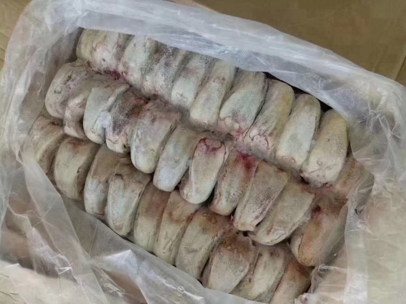 驴舌！口条！货品干净！诚信经营，信誉第一！支持全国发货