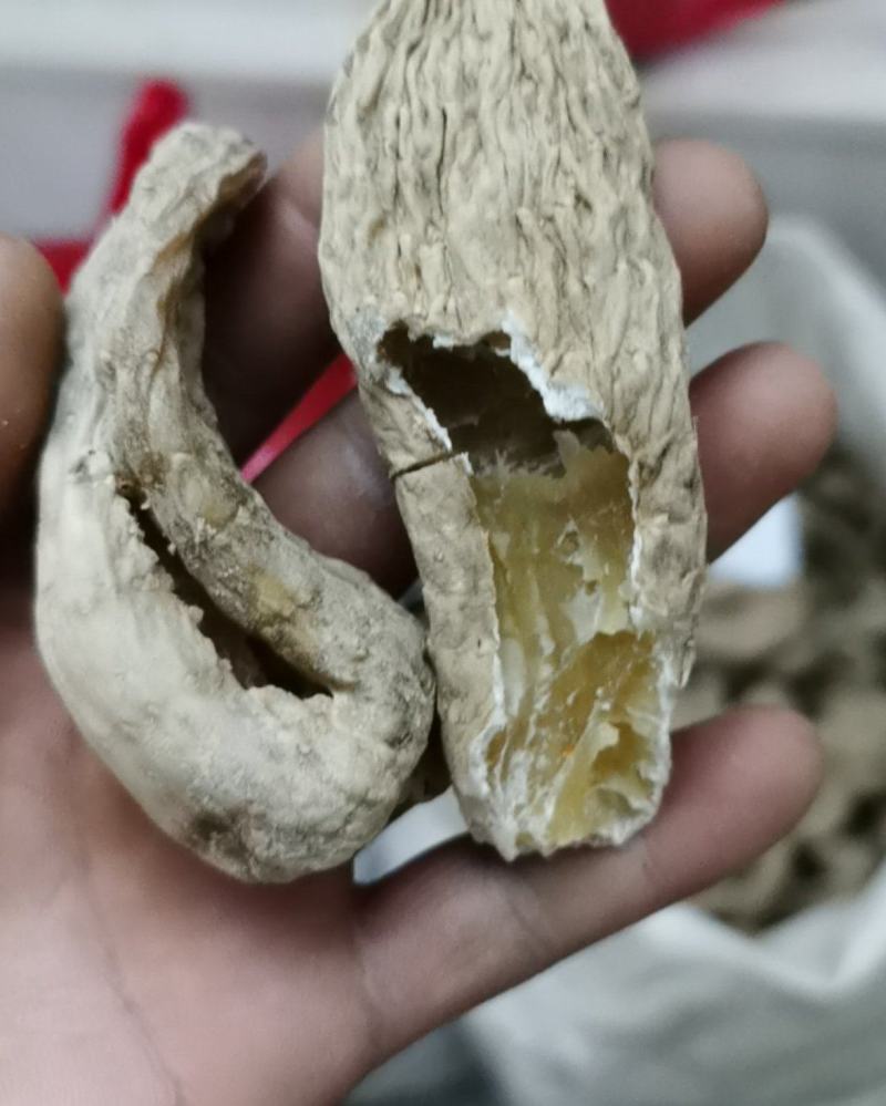 秦岭高山仿野生种植干天麻，脚麻惨麻，药厂专用或者打粉用