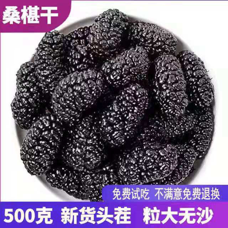 大粒无沙桑葚干批发泡茶泡酒