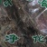 盘龙参干货中药材量大从优！欢迎选购！