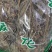 盘龙参干货中药材量大从优！欢迎选购！