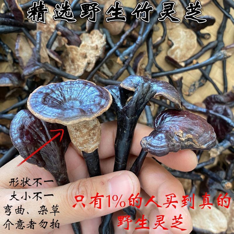 【野生竹灵芝】无硫野生灵芝竹灵芝500克袋装当季新货包邮