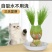 创意草头娃娃小植物盆栽室内桌面迷你好养青草可爱圣诞节礼物