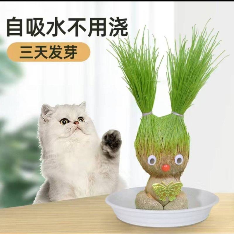 创意草头娃娃小植物盆栽室内桌面迷你好养青草可爱圣诞节礼物