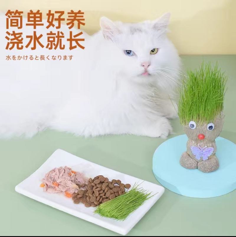 创意草头娃娃小植物盆栽室内桌面迷你好养青草可爱圣诞节礼物