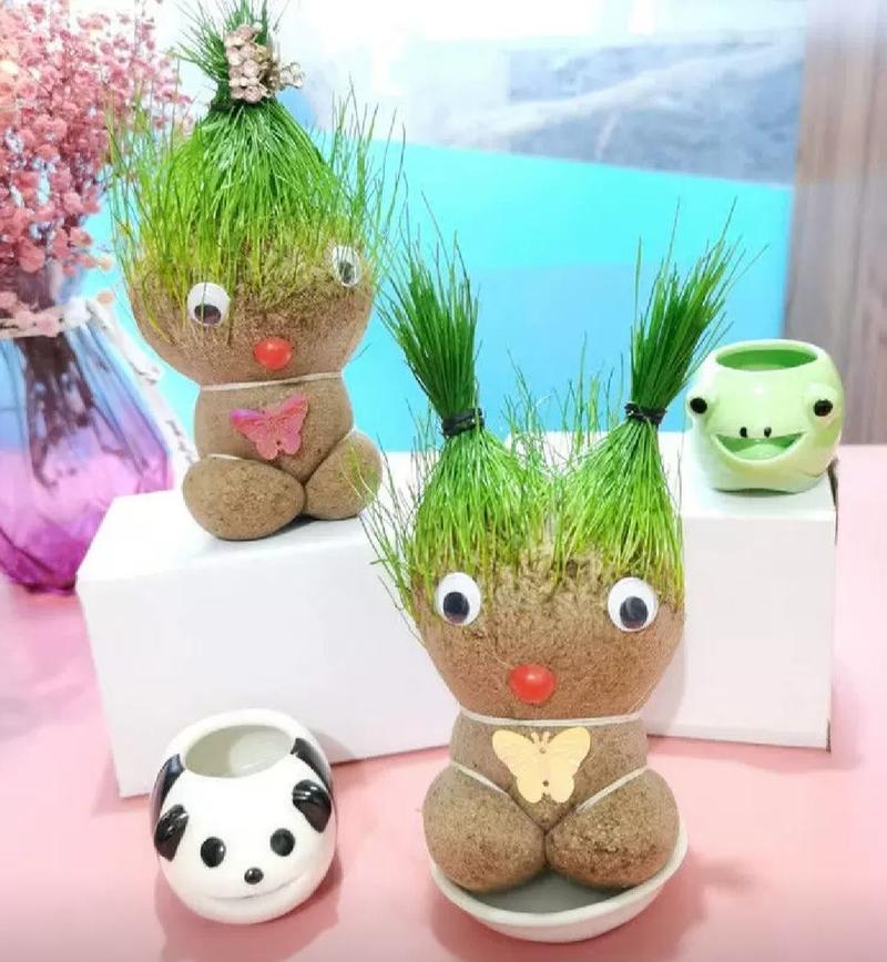 创意草头娃娃小植物盆栽室内桌面迷你好养青草可爱圣诞节礼物