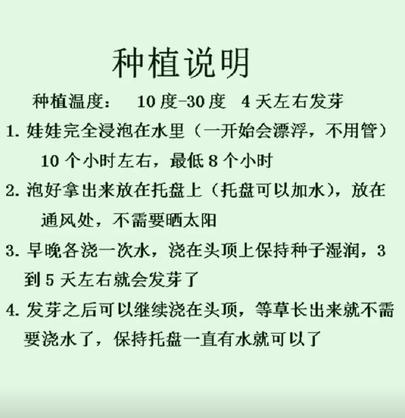 创意草头娃娃小植物盆栽室内桌面迷你好养青草可爱圣诞节礼物