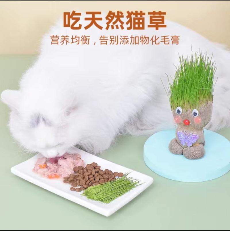 创意草头娃娃小植物盆栽室内桌面迷你好养青草可爱圣诞节礼物