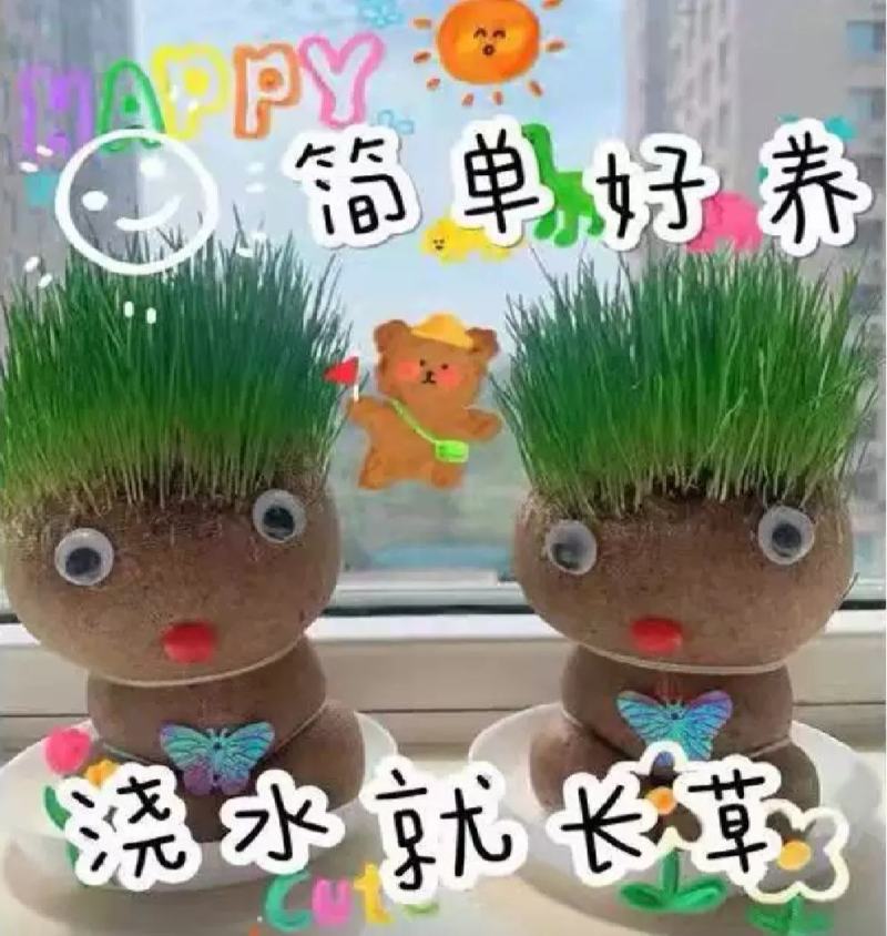 创意草头娃娃小植物盆栽室内桌面迷你好养青草可爱圣诞节礼物