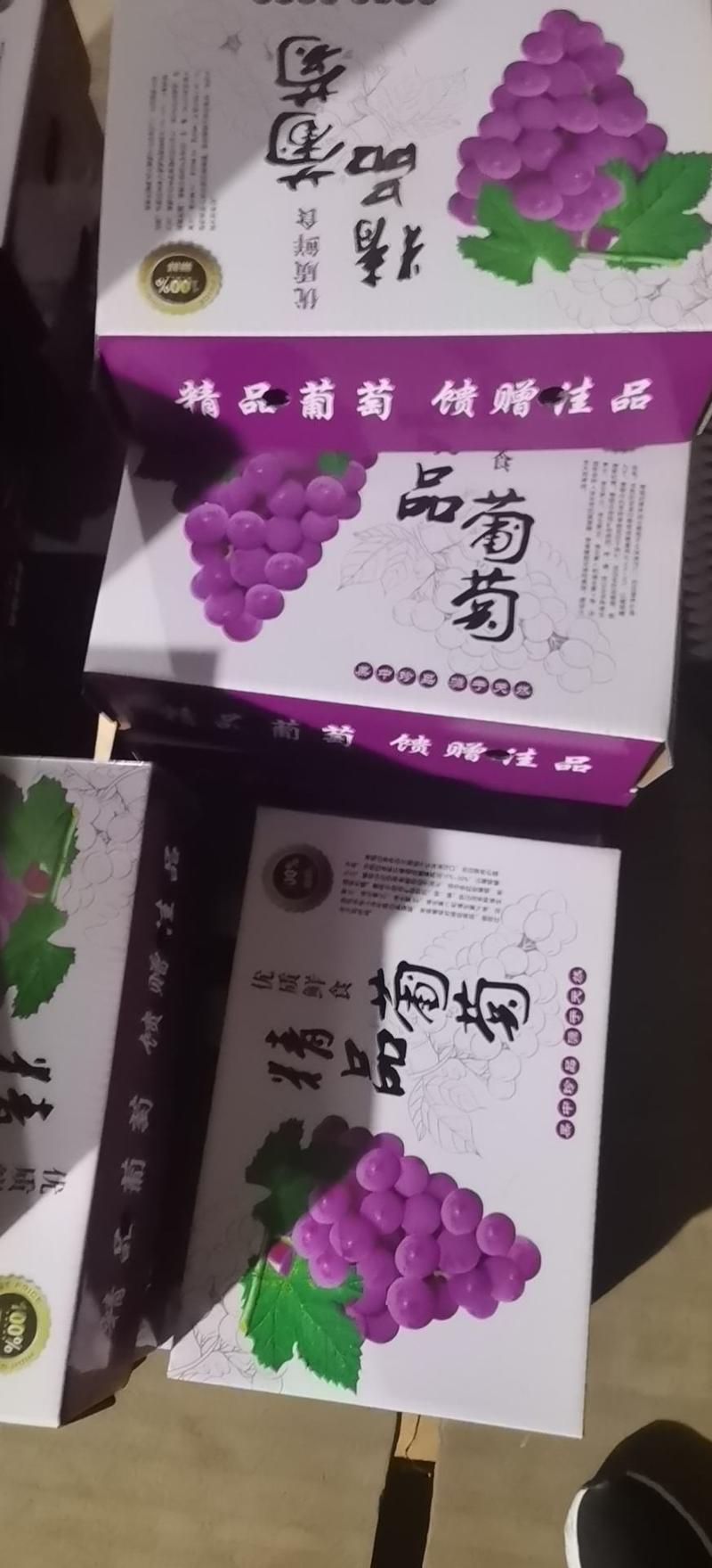 【实力】河北晋州绿康冷库巨峰葡萄大量有货欢迎订购