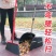 庭院硬毛大扫把单个室外马路工厂环卫笤帚加长加大家用户外