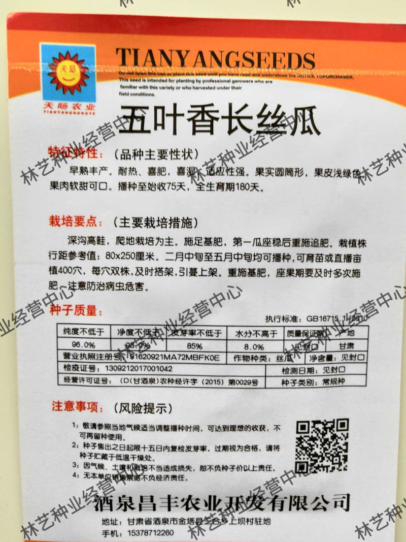 五叶香长丝瓜种子批发早熟高产抗病家庭阳台菜园盆栽四季