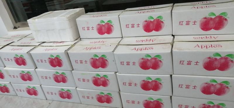 正宗红富士顺平县红富士苹果