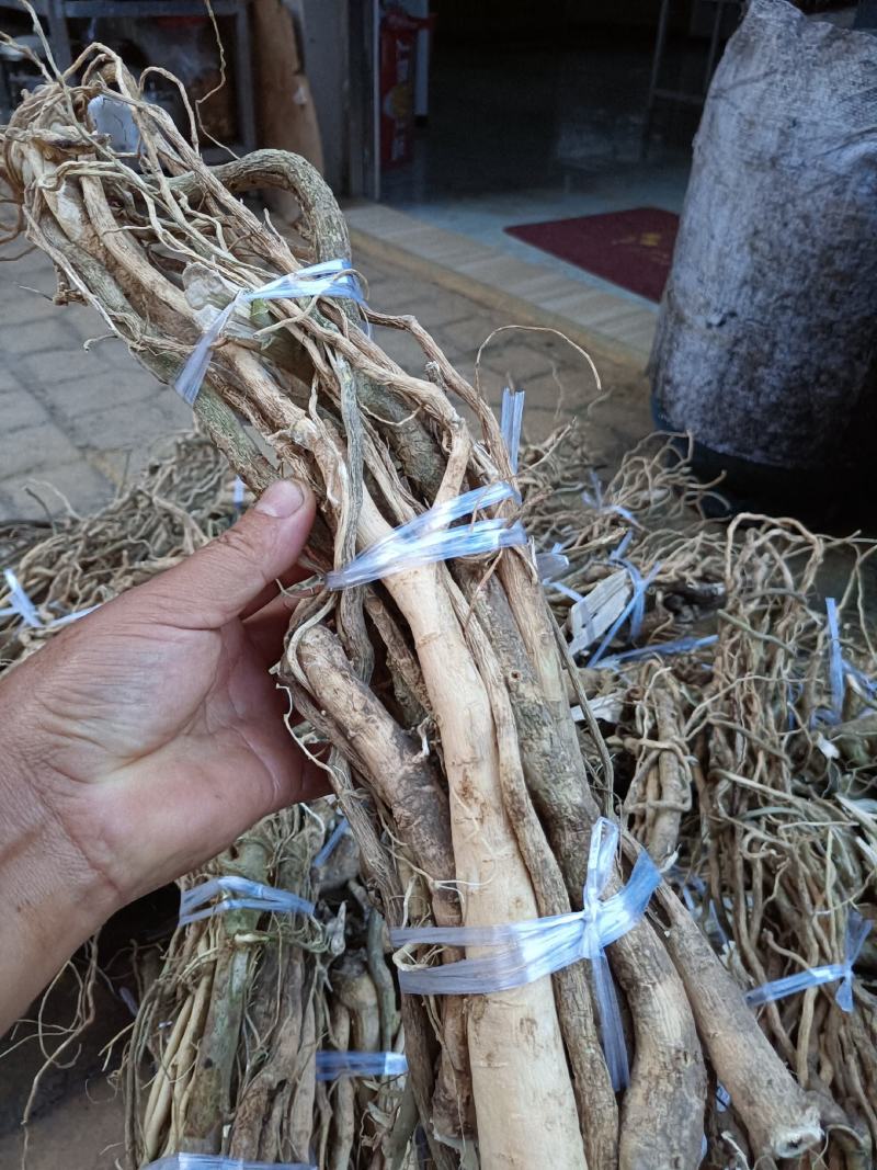 纯野生黄花倒水莲黄花参鲜货干货纯根批发