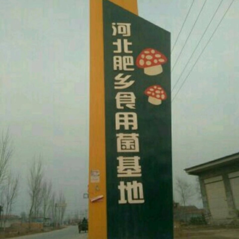 【荐】河北平菇大量上市基地发货保证质量尽快发货