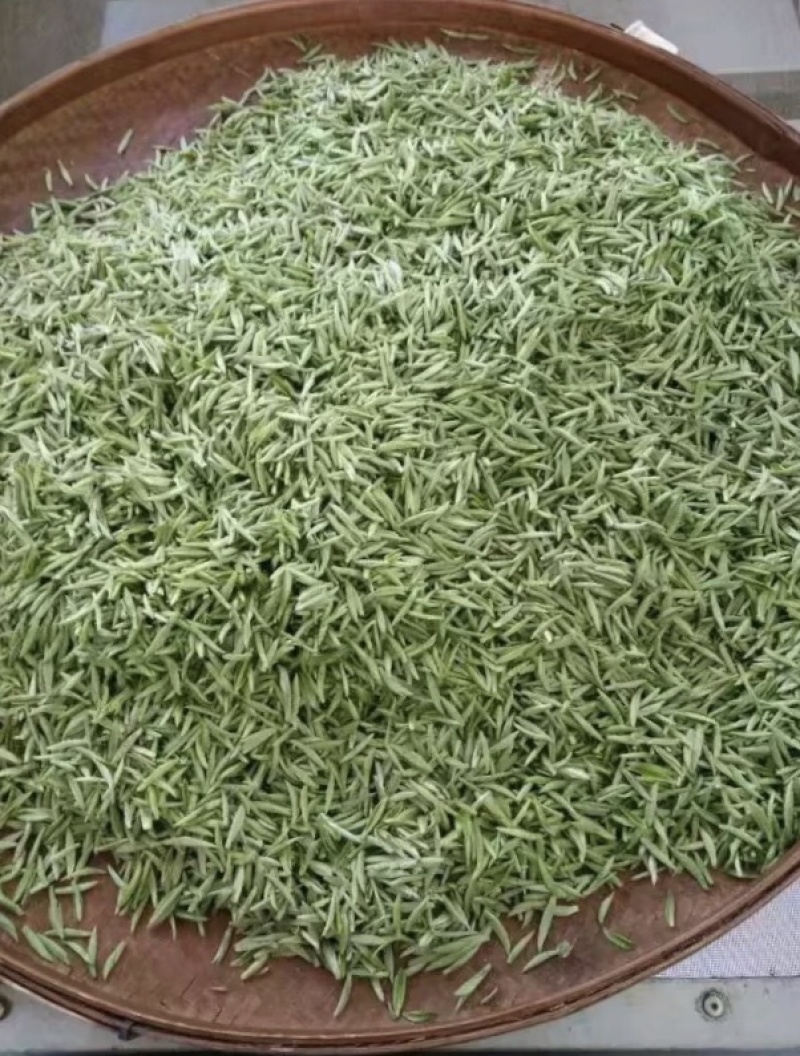 产地直销湖北五峰绿茶手工毛尖一级栗香味