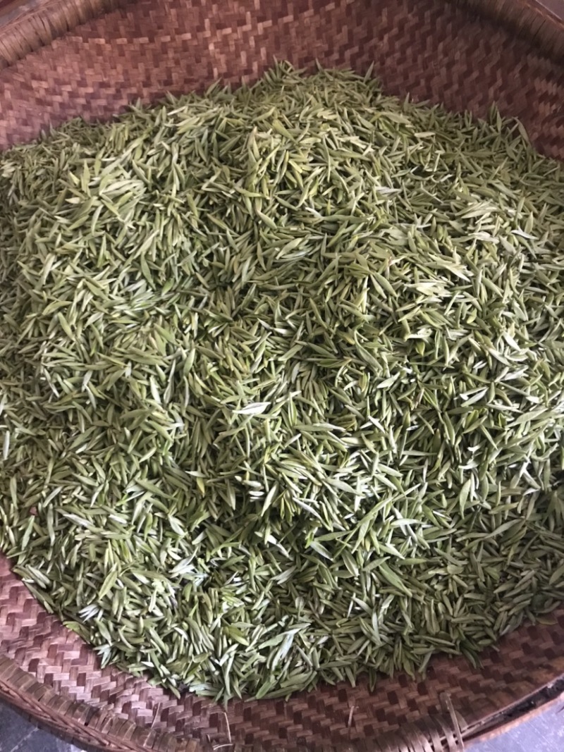 产地直销湖北五峰绿茶手工毛尖一级栗香味