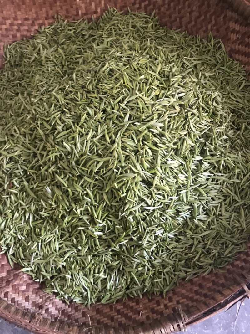 产地直销湖北五峰绿茶手工毛尖一级栗香味