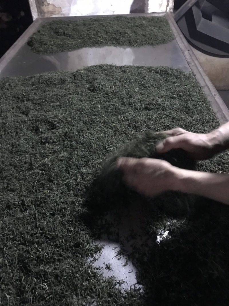 产地直销湖北五峰绿茶手工毛尖一级栗香味