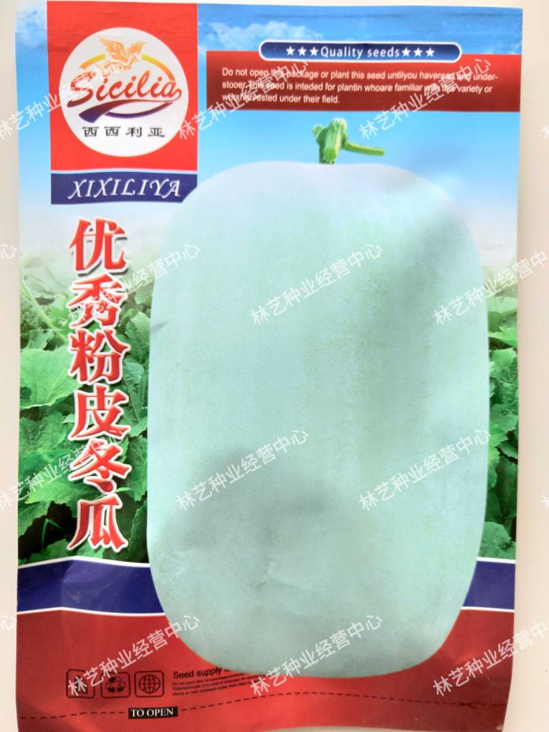 粉皮冬瓜种子高产白皮冬瓜种籽春季秋四季庭院种植种蔬菜种子