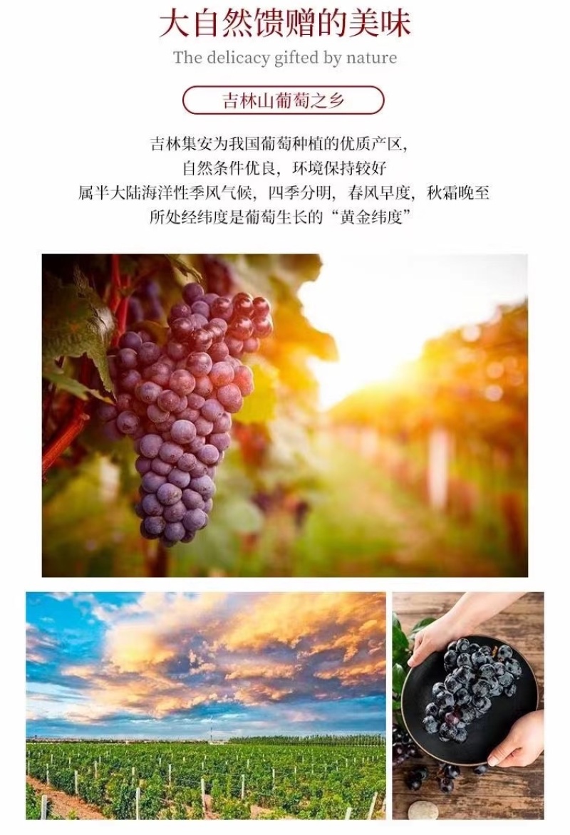 冰葡萄酒咱家冰葡萄酒实拍看这挂杯度口感一级棒
