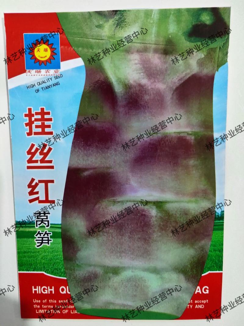 挂丝红莴笋种子红皮紫皮绿肉莴苣种籽秋季播种蔬菜种子