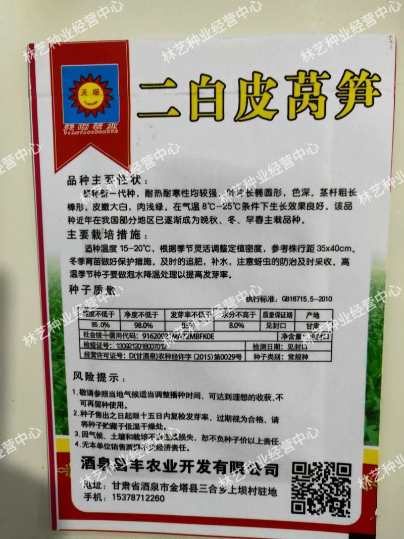 二白皮莴笋种子四季可播耐热耐湿莴笋种籽四季播蔬菜种子