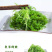 龙须菜凉菜火锅菜5斤山东特产凉拌菜天然海草鲜脆爽口包邮