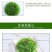 龙须菜凉菜火锅菜5斤山东特产凉拌菜天然海草鲜脆爽口包邮
