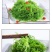 龙须菜凉菜火锅菜5斤山东特产凉拌菜天然海草鲜脆爽口包邮