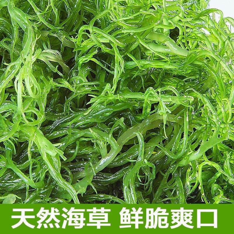 龙须菜凉菜火锅菜5斤山东特产凉拌菜天然海草鲜脆爽口包邮