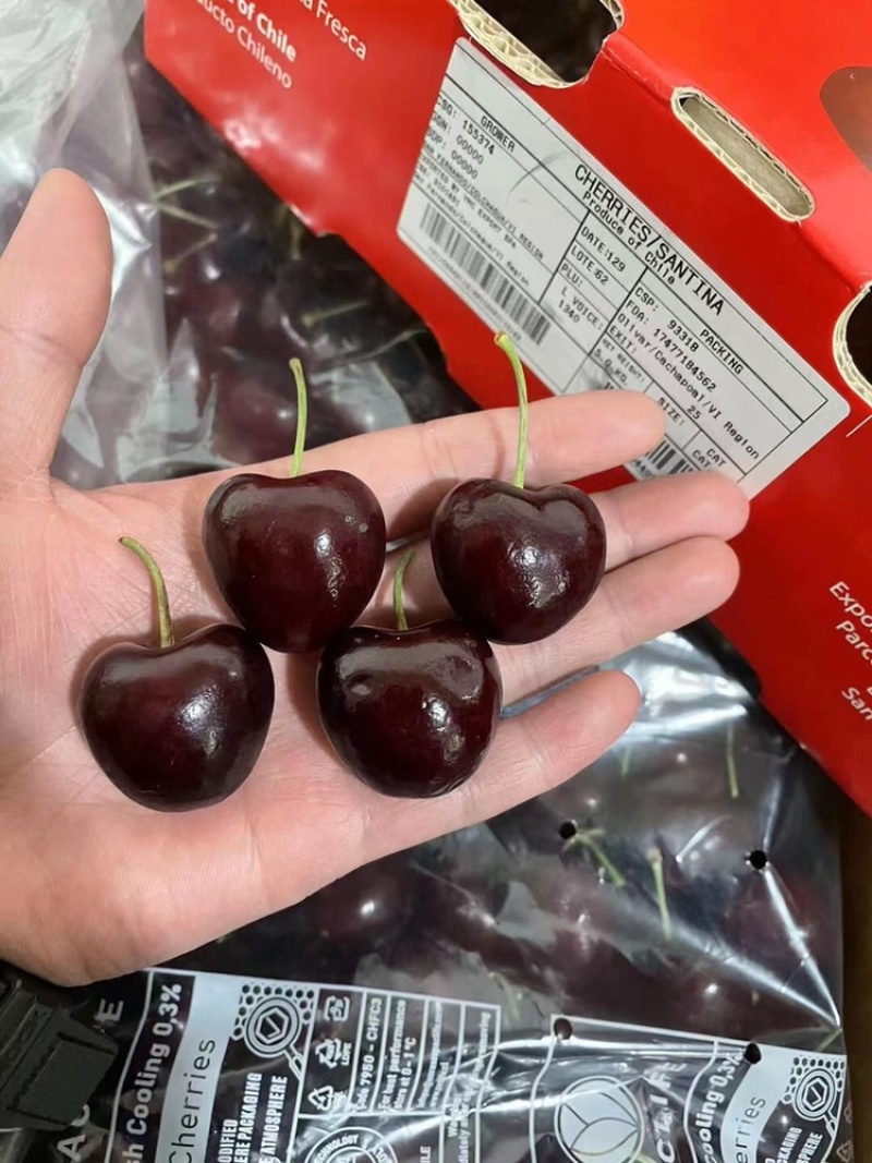 智利车厘子进口樱桃10斤装新鲜精品水果