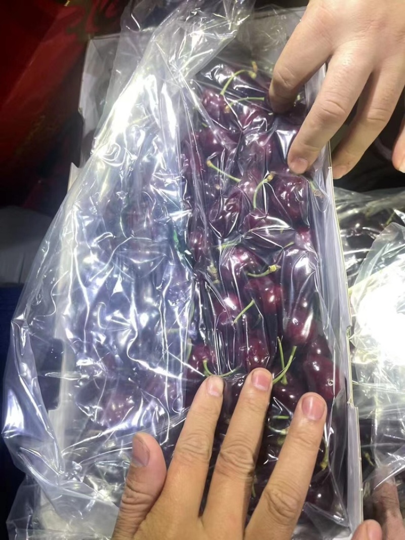 智利车厘子进口樱桃10斤装新鲜精品水果