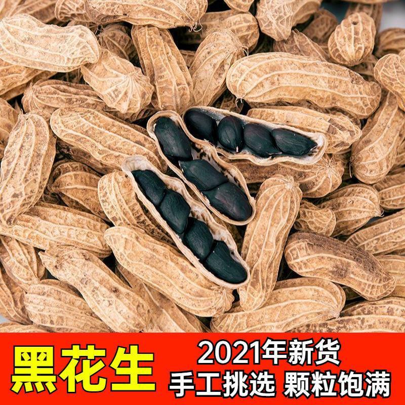 2021年带壳黑花黑花生生新货生吃味甜黑皮花生批发