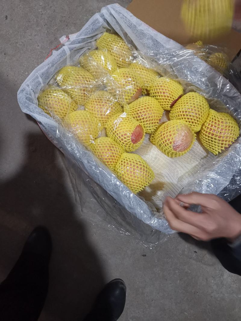 高原纸加膜红富士苹果，货源充足，有冷库框装货，也有袋装货
