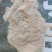 麦毛