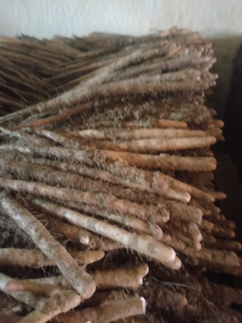 河北山药，铁棍山药，水沟种植，产地直供货，规格齐全，保好