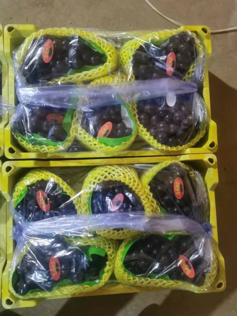 辽宁北镇精品巨峰葡萄高中低档各种规格各个价位的都有