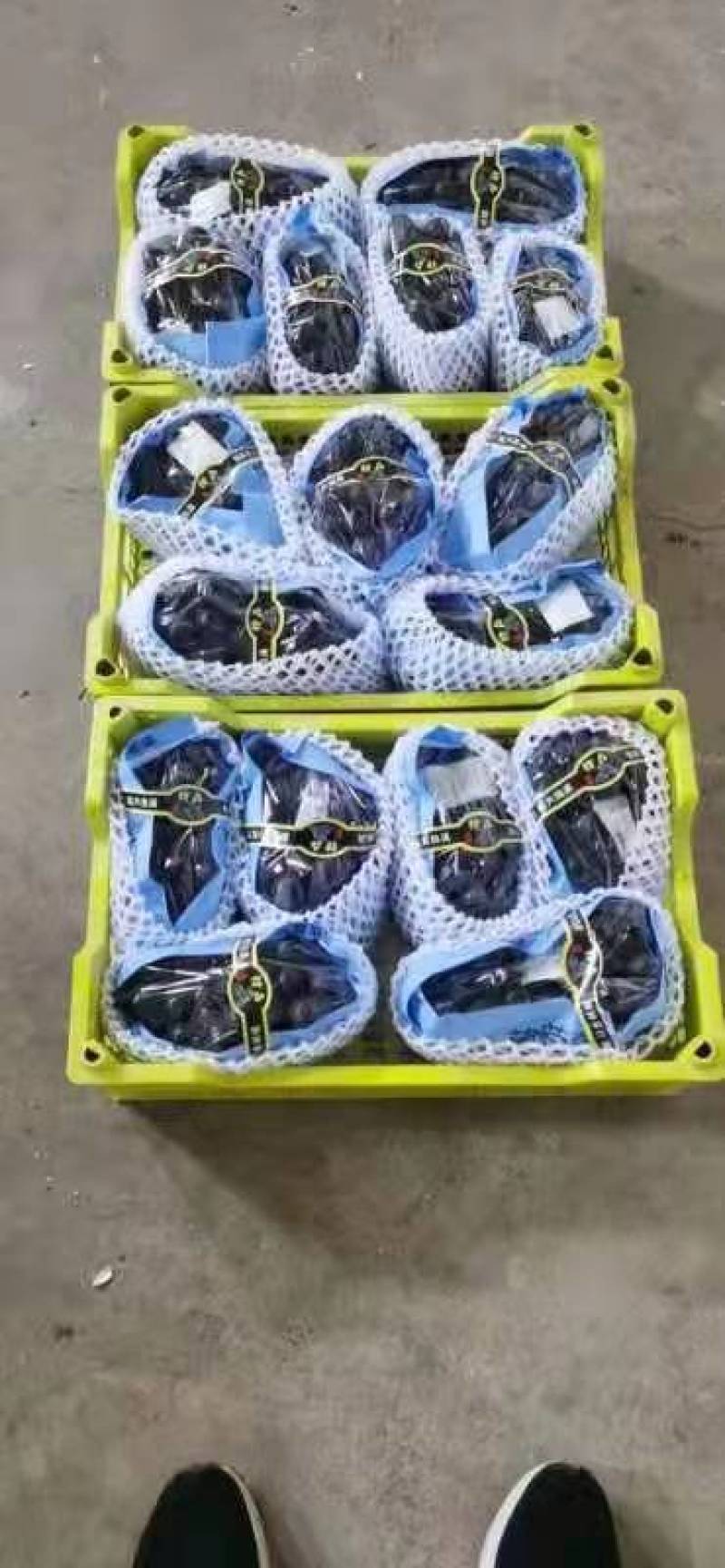 辽宁北镇精品巨峰葡萄高中低档各种规格各个价位的都有