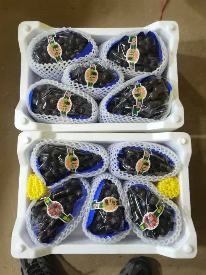 辽宁北镇精品巨峰葡萄高中低档各种规格各个价位的都有