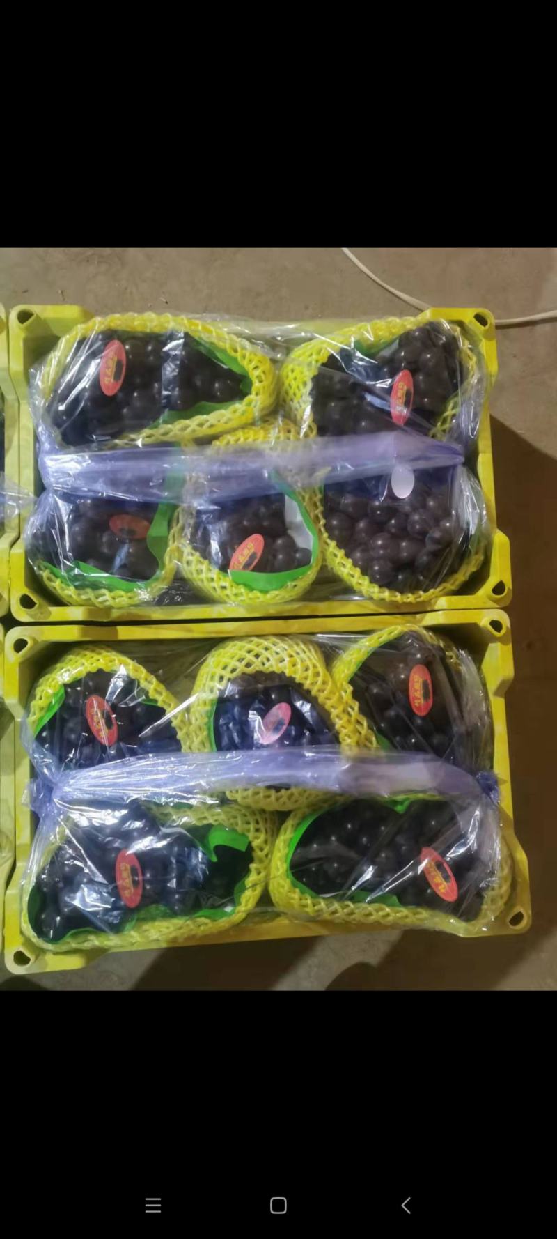 辽宁北镇精品巨峰葡萄高中低档各种规格各个价位的都有