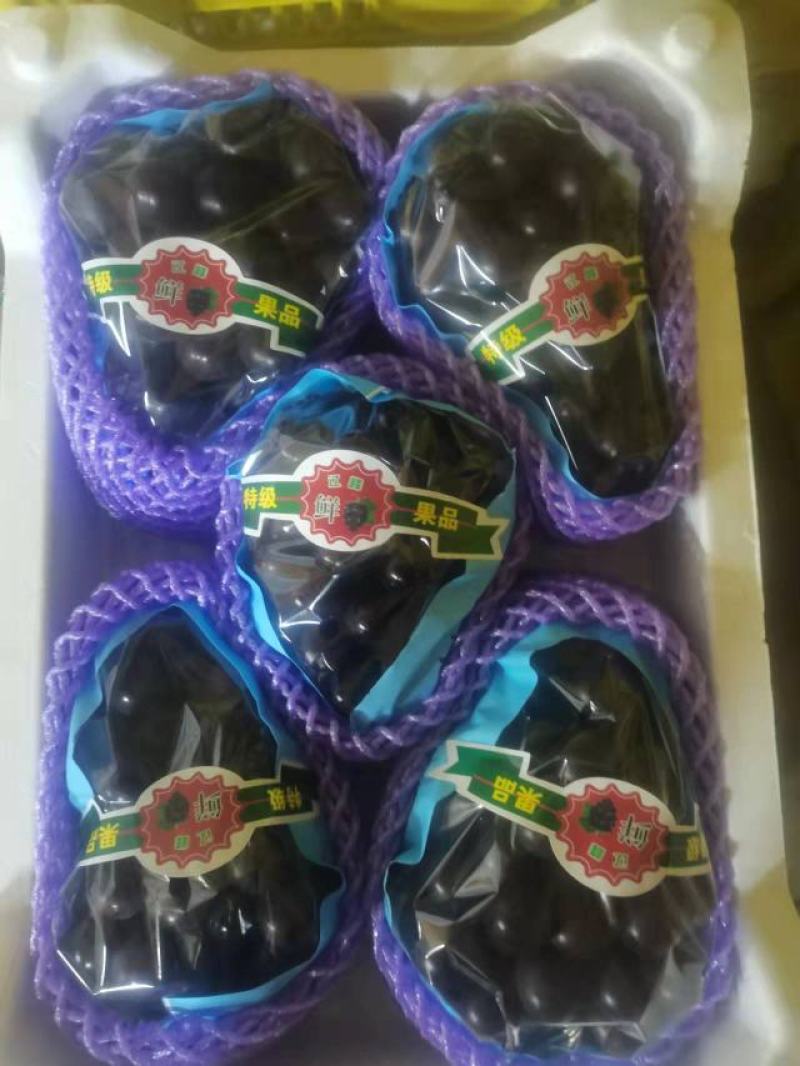 辽宁北镇精品巨峰葡萄高中低档各种规格各个价位的都有