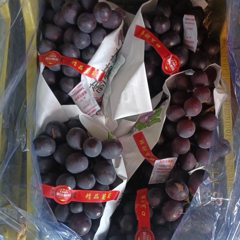 辽宁北镇精品巨峰葡萄高中低档各种规格各个价位的都有