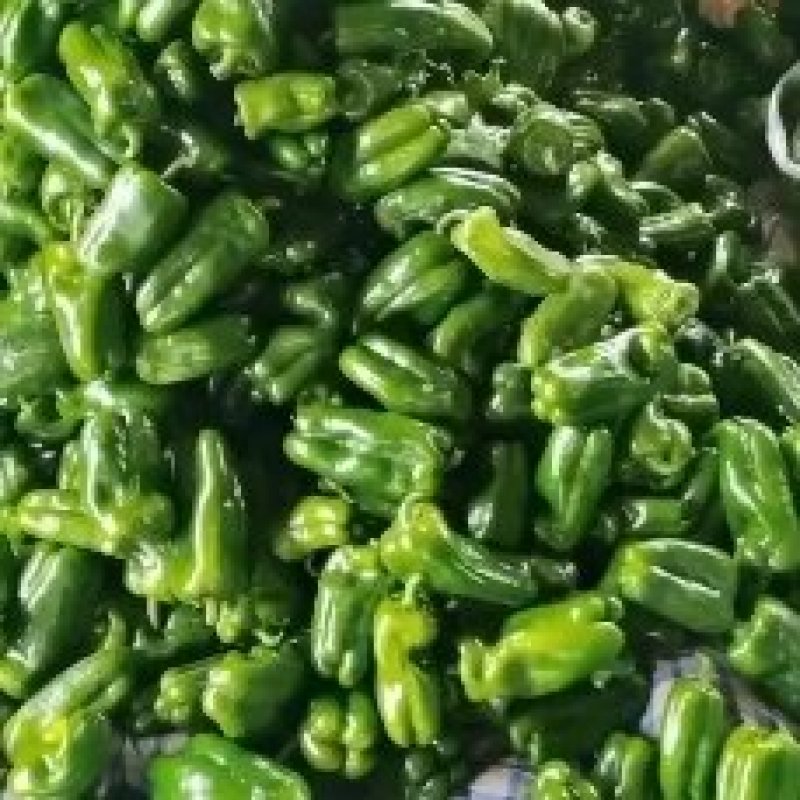 热销精品大量批发发往全国产地直发
