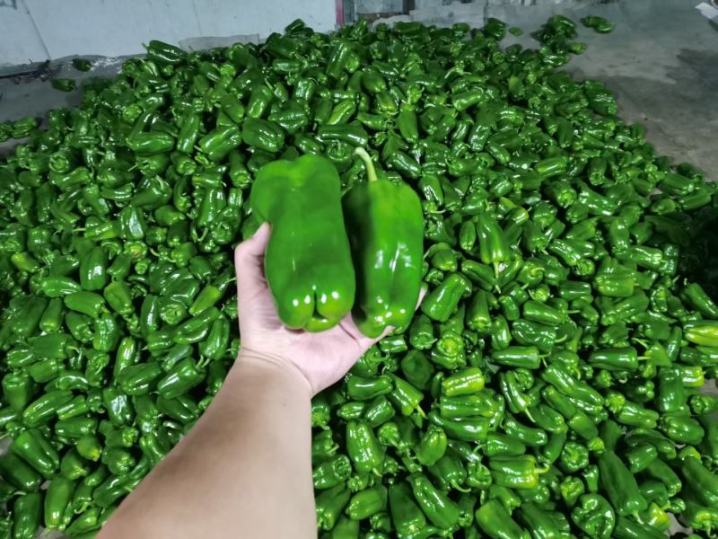 热销精品大量批发发往全国产地直发