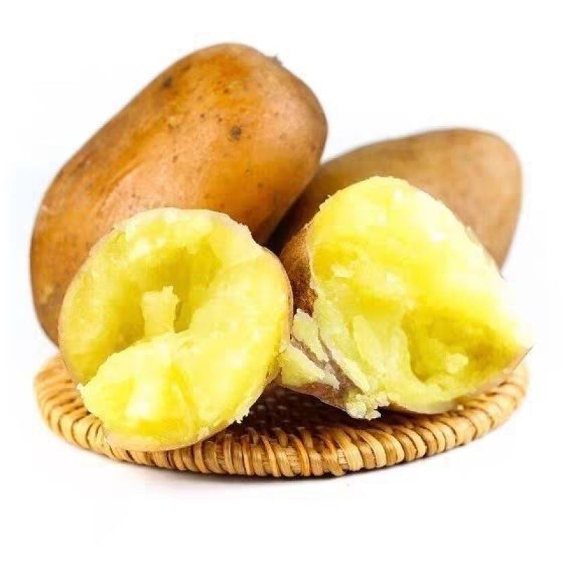 【一件代】冬季售后少需求大土豆批发精品洋芋蔬菜马铃薯