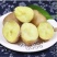 【一件代】冬季售后少需求大土豆批发精品洋芋蔬菜马铃薯