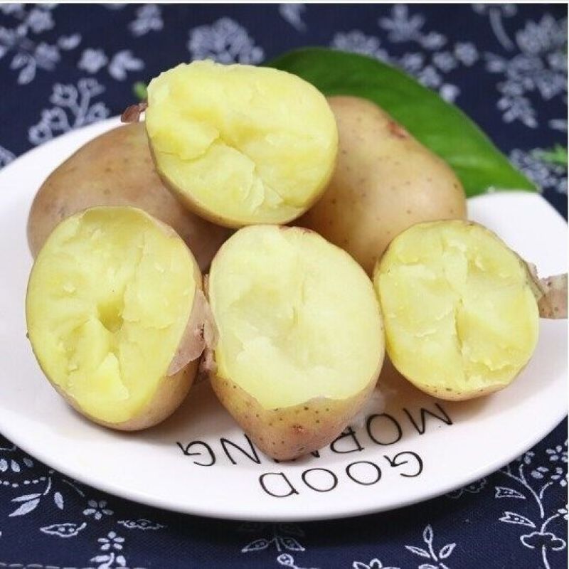【一件代】冬季售后少需求大土豆批发精品洋芋蔬菜马铃薯
