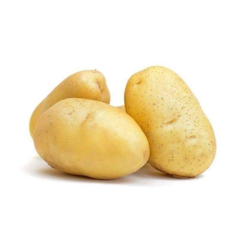 【一件代】冬季售后少需求大土豆批发精品洋芋蔬菜马铃薯